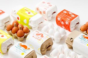 فناوری جدیدی که تخم‌مرغ‌های بسته‌بندی شده را به سرعت ضدعفونی می‌کند