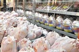نظارت‌ بر زنجیره‌ تولید و توزیع مرغ در قزوین شبانه روزی شده است