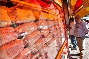 ادامه آشفتگی بازار مرغ در اصفهان/ قاچاق ادامه دارد