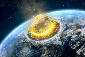 سیارک عامل نابودی دایناسورها به تولد جنگل‌های حاره‌ای کمک کرد