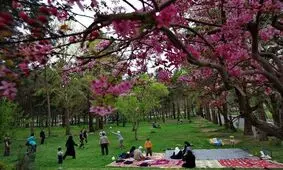 ۸ نفر در روز طبیعت قربانی شدند