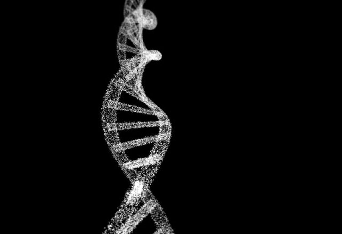 کشف ۱۳ ژن جدید که در بروز آلزایمر نقش دارند