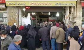 صف مرغ در همدان کم شده/ توزیع روزانه ۲ برابر نیاز مردم