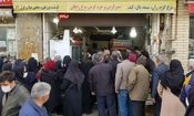صف مرغ در همدان کم شده/ توزیع روزانه ۲ برابر نیاز مردم