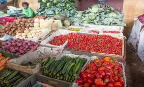 کدام مهم‌تر است، امنیت غذایی یا امنیت تغذیه؟