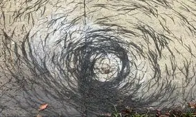 تندباد کرم‌ها کاربران فضای مجازی را متعجب کرد!