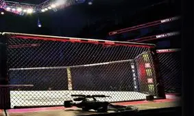 مبارزه در قفس آزاد شد