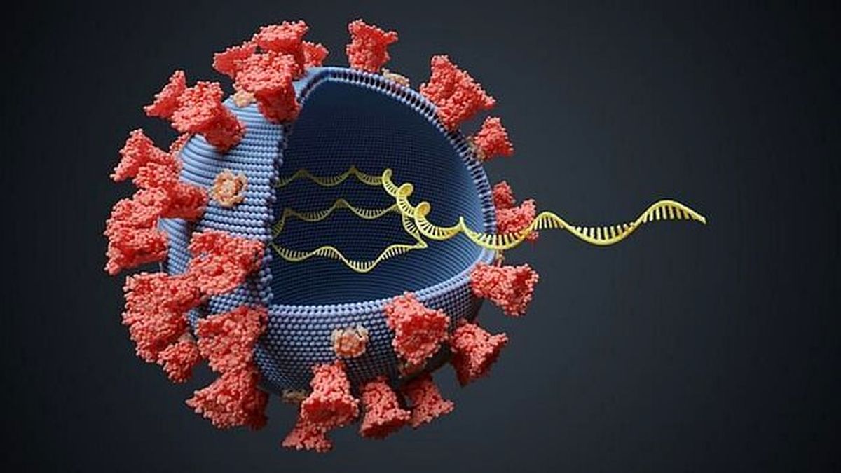 ابتلای ۹۹۵ مورد جدید به کرونا ویروس و شش فوتی در لرستان