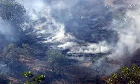 خطر آتش‌سوزی بیخ گوش جنگل‌ها و مراتع کشور