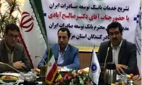 بانک توسعه صادرات ایران 500 میلیون دلار تسهیلات سرمایه‌گذاری صادراتی پرداخت می‌کند