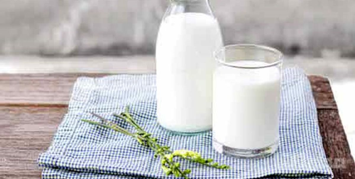 ۱۵ فایده نوشیدن شیر