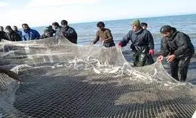 مهلت صید ماهیان استخوانی در نوار ساحلی گیلان تمدید شد