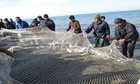 مهلت صید ماهیان استخوانی در نوار ساحلی گیلان تمدید شد