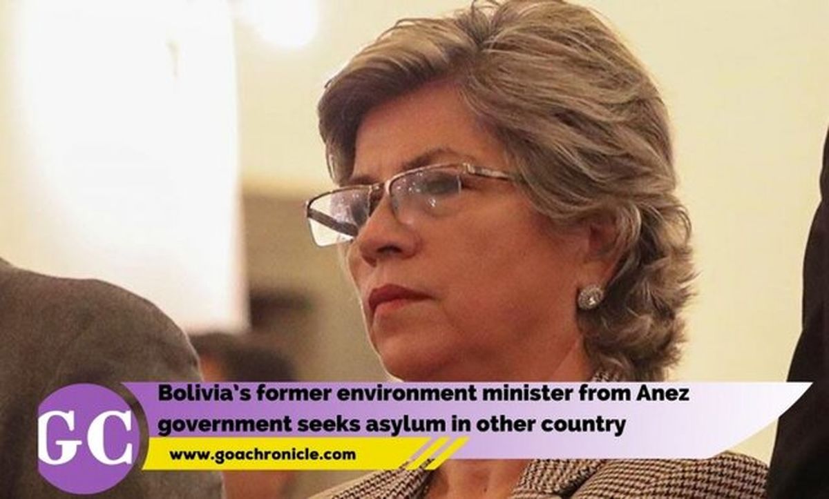 وزیر سابق محیط زیست بولیوی در کشوری دیگر پناهنده شد