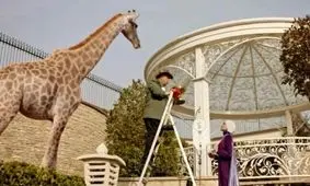 سیرک حیات وحش در دراکولا؛ چرا محیط زیست مجوز می‌دهد؟