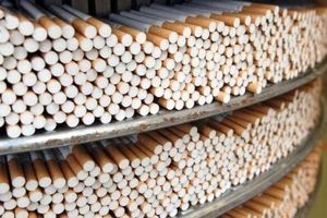 کشف ۴۰ هزار نخ سیگار قاچاق در گرگان 