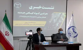 کشف گونه گیاهی جدید با نام علمی «فیلیپانش پویانی»