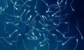 استفاده از لپ‌تاپ جهت غربالگری بیماری پوستی