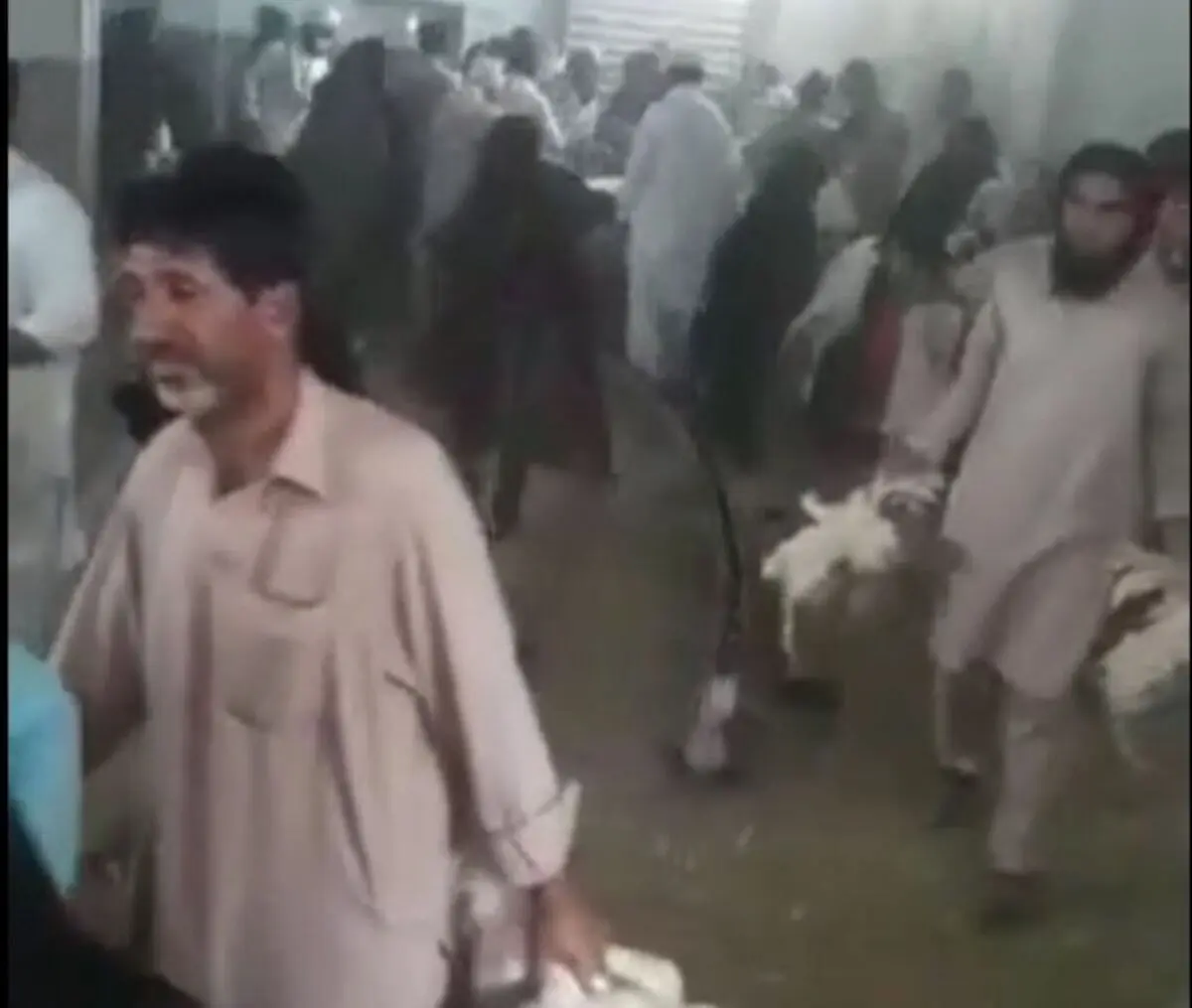 پلیس فتا: عامل انتشار کلیپ حمله به مرغداری نیکشهر به اتهام تشویش اذهان عمومی دستگیر شد