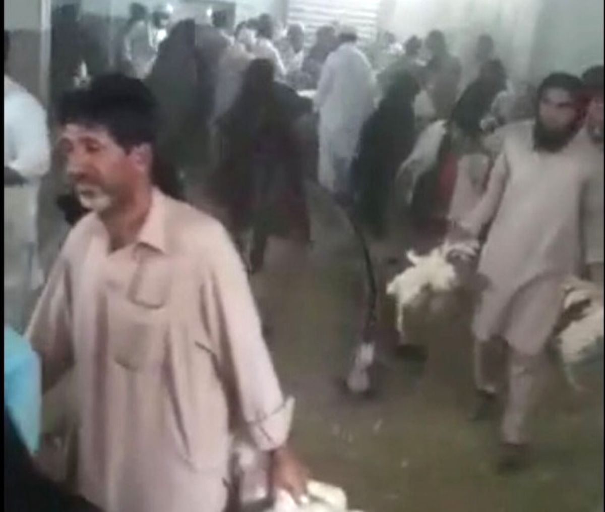 پلیس فتا: عامل انتشار کلیپ حمله به مرغداری نیکشهر به اتهام تشویش اذهان عمومی دستگیر شد
