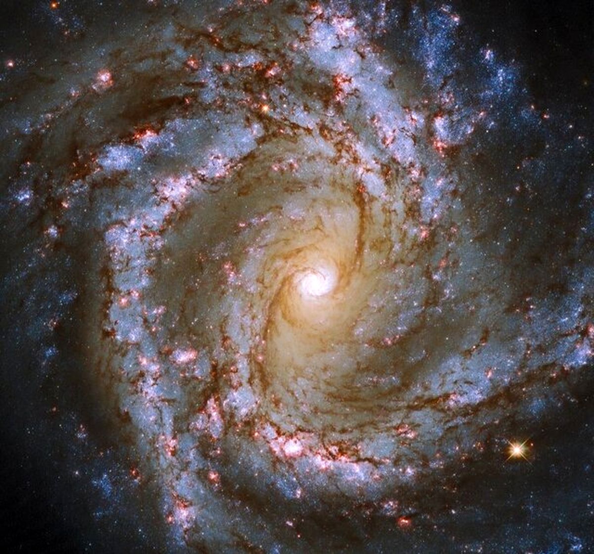تصویری از یک کهکشان ستاره فشان