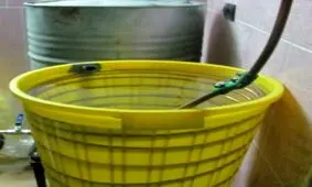 مرگ بر اثر مصرف مشروبات الکلی