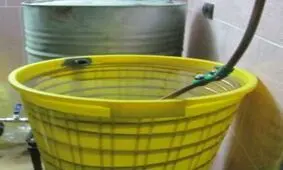 مرگ بر اثر مصرف مشروبات الکلی