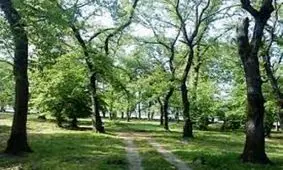 باغ شریعت اردبیل به پارک عمومی تبدیل می‌شود