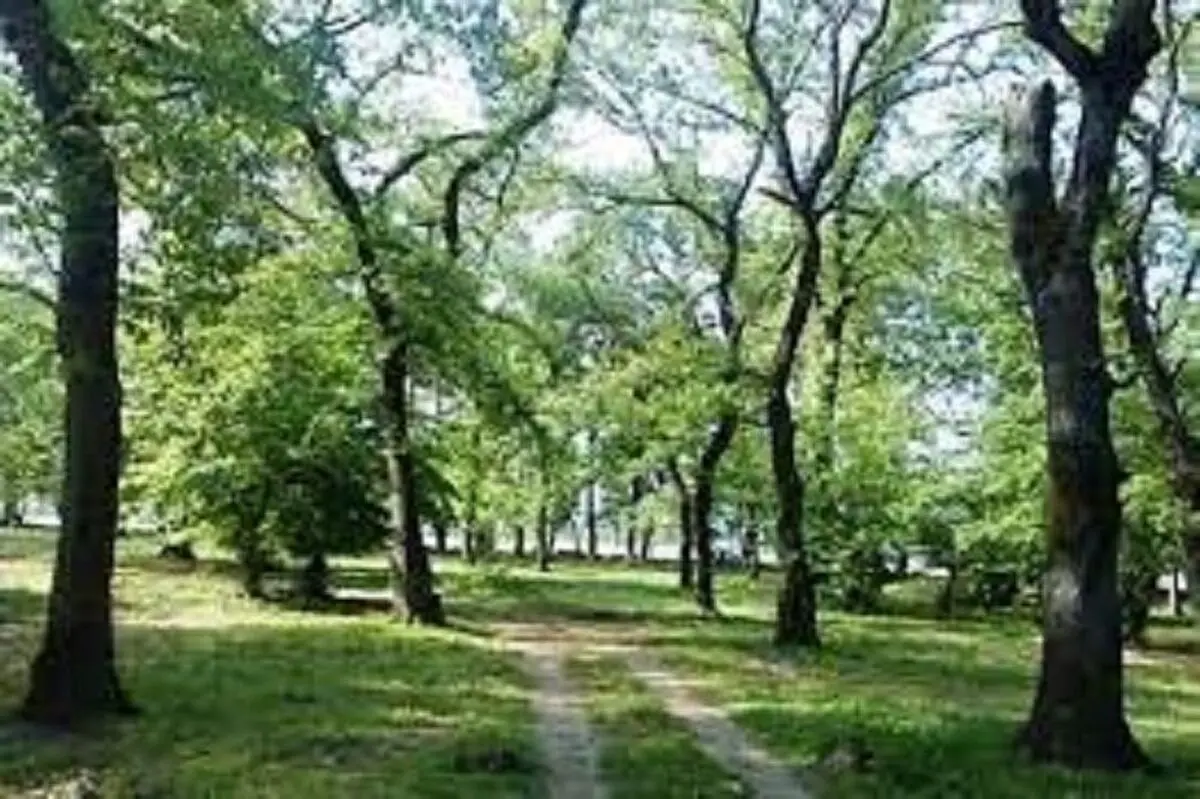 باغ شریعت اردبیل به پارک عمومی تبدیل می‌شود