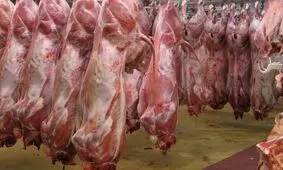 وجود گرانفروشی در بازار گوشت قرمز/  احتمال کاهش قیمت گوشت قرمز در ماه رمضان