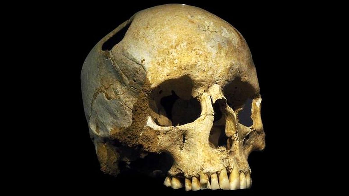 بازسازی قدیمیترین ژنوم انسان مدرن با استفاده از جمجمه زن ۴۵ هزار ساله