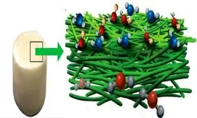 جذب آلاینده‌های خودروها با ساخت فیلتری گیاهی