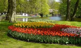 آماده‌سازی دیزین با ۱۲ میلیون گل لاله برای یک رویداد بین‌المللی