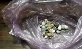 کشف و ضبط ۸۰ قلم شیء تاریخی در شهرستان سلسله لرستان