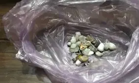 کشف و ضبط ۸۰ قلم شیء تاریخی در شهرستان سلسله لرستان