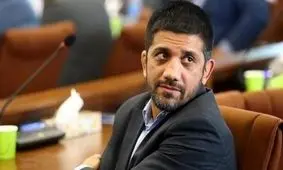 دبیر: کشتی ایران نیازمند حمایت است