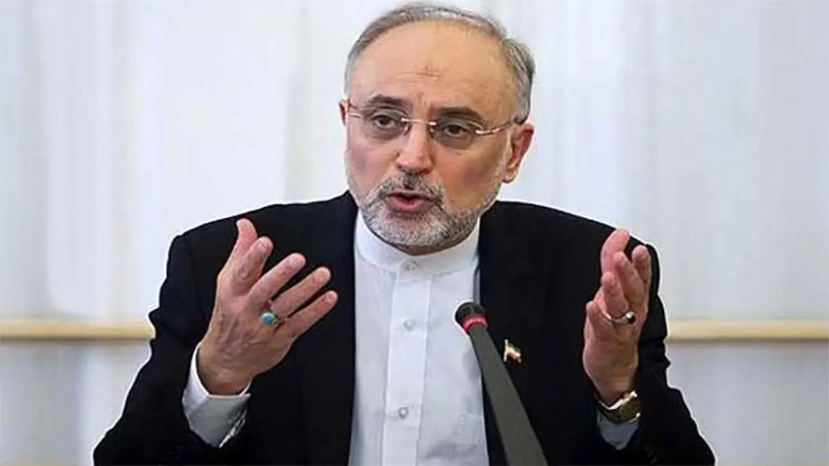 صالحی: حق ایران برای اقدام علیه عاملان، آمران و مباشران سایت نطنز محفوظ است