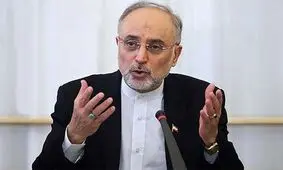 صالحی: حق ایران برای اقدام علیه عاملان، آمران و مباشران سایت نطنز محفوظ است
