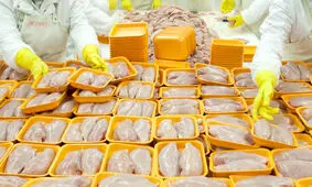 حقوق ناظران شرعی واردات مرغ؛ ۲۵۰۰ یورو