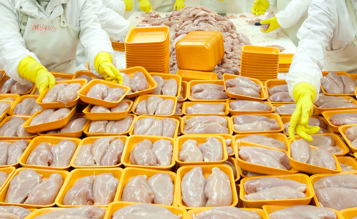 حقوق ناظران شرعی واردات مرغ؛ ۲۵۰۰ یورو
