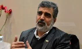 سخنگوی سازمان انرژی اتمی دچار حادثه شد