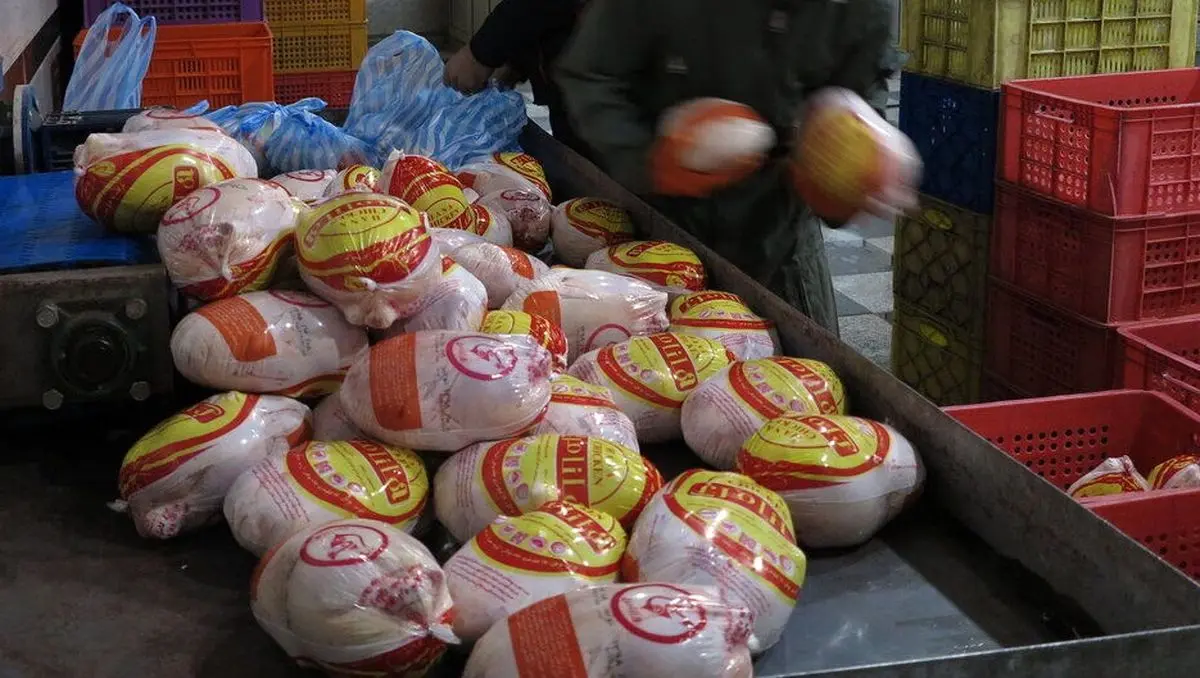 دلالان گوشت مرغ در البرز دستگیر شدند