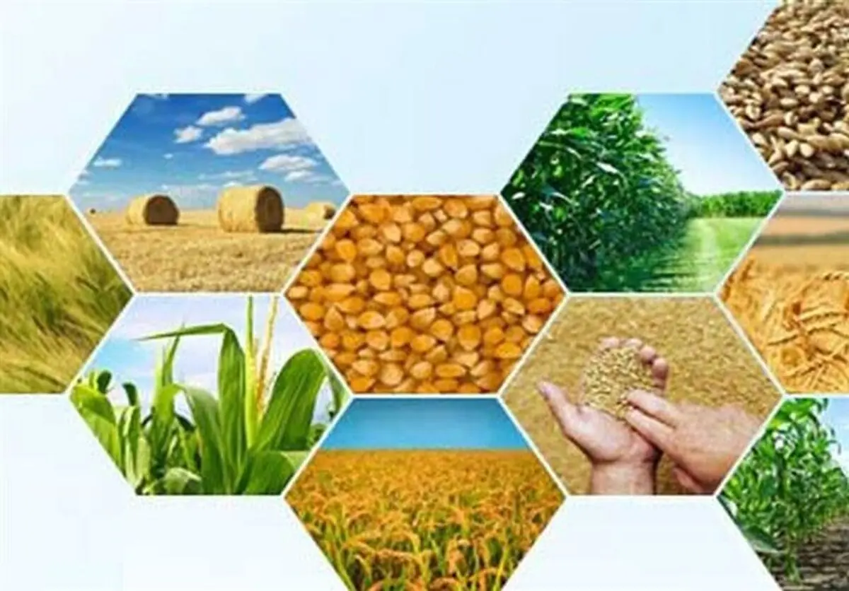 افزایش قیمت‌هایی که تاثیر چندانی در افزایش درآمد تولیدکنندگان ندارد
