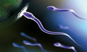 انتقال صفات پدر به فرزند بدون دخالت دی‌ان‌ای