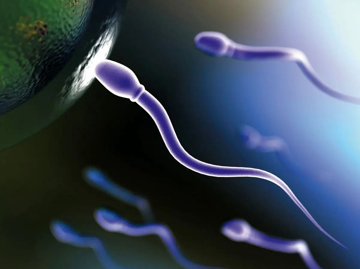 انتقال صفات پدر به فرزند بدون دخالت دی‌ان‌ای