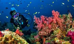 قدیمی‌ترین لباس غواصی جهان/ سال ۱۸۶۰