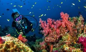 قدیمی‌ترین لباس غواصی جهان/ سال ۱۸۶۰
