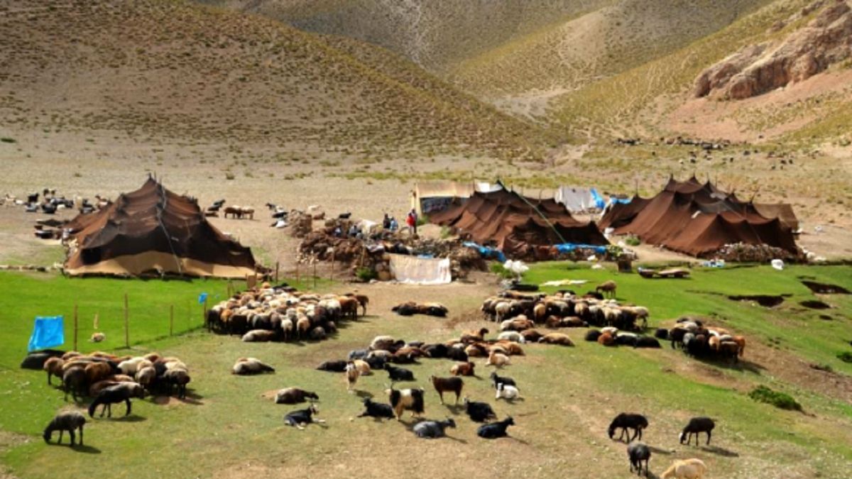 تأثیر کرونا بر اقتصاد زندگی عشایر چه بود؟