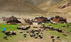 تأثیر کرونا بر اقتصاد زندگی عشایر چه بود؟
