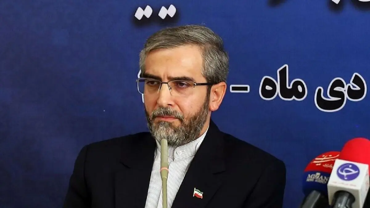گاهی زندانیان خارجی ما حاضر نیستند از زندان ایران به زندان کشور خود بروند